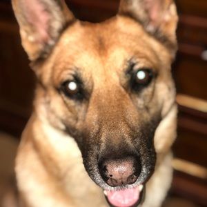 Meet your Posher, Mickie